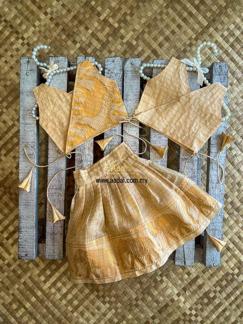 𝐕𝐢𝐬𝐡𝐯𝐚 𝐉𝐚𝐧𝐚𝐧𝐢 - Lehengga