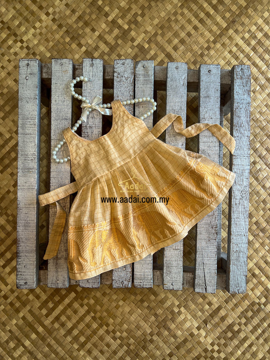𝐕𝐢𝐬𝐡𝐯𝐚 𝐉𝐚𝐧𝐚𝐧𝐢 - Sleeveless Dress