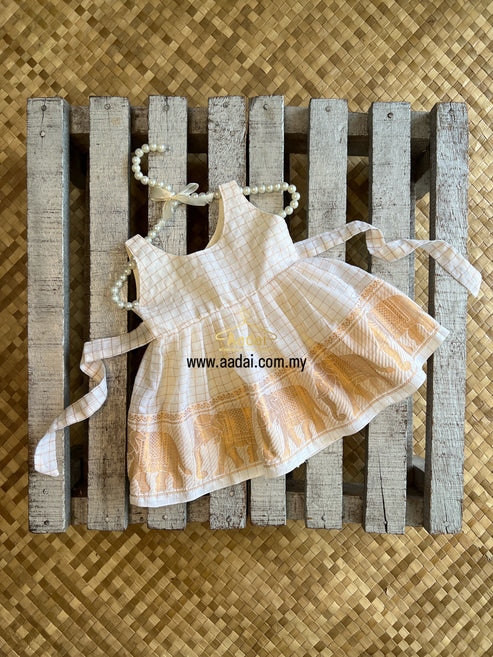 𝐕𝐢𝐬𝐡𝐯𝐚 𝐉𝐚𝐧𝐚𝐧𝐢 - Sleeveless Dress