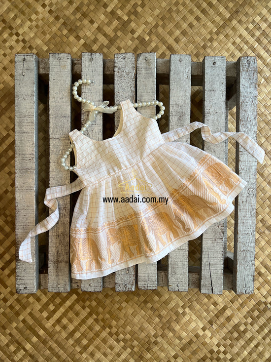 𝐕𝐢𝐬𝐡𝐯𝐚 𝐉𝐚𝐧𝐚𝐧𝐢 - Sleeveless Dress